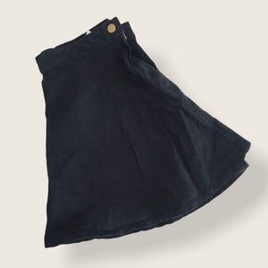 American Apparel Skirt